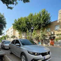 تارا در حد خشک