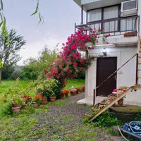 کلبه جنگلی ویلای جنگلی ویلا ساحلی سوئیت آپارتمان|اجارهٔ کوتاه‌مدت ویلا و باغ|آستارا, |دیوار