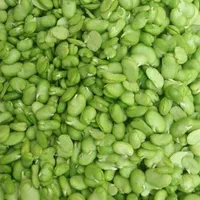سبزی خردشده قرمه پلو آش کوکوقرمه سرخ شده|خوردنی و آشامیدنی|تهران, شکوفه|دیوار