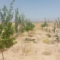 قطعات ۴۰۰متری داخل مجتمع کلاکوب|فروش زمین و ملک کلنگی|مشهد, گلبرگ شمالی|دیوار