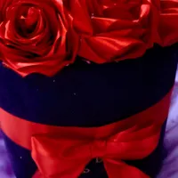 گل روبانی|گل مصنوعی|ارومیه, |دیوار