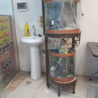 آکواریوم دوطبقه با تمام امکانات
