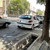 ۲۰۶ مدل ۹۱|خودرو سواری و وانت|تبریز, |دیوار