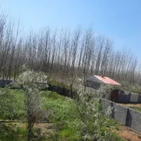 زمین سند دار|فروش زمین و ملک کلنگی|رشت, بازار|دیوار