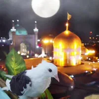 (قزوین به مشهد) همه روزه قطار کوپه ای