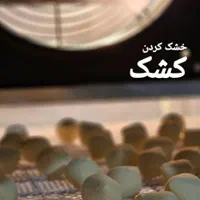 تولید و مشاور دستگاه خشک کن میوه سبزی کشک قارچ|ماشین‌آلات صنعتی|بیرجند, |دیوار