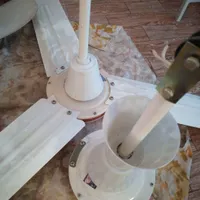 به علت مهاجرت