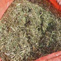 یونجه