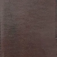 گمشده