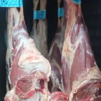 قصاب