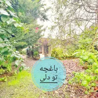 باغچه 260متری شهرکی/بهشته واقعی|فروش خانه و ویلا|محمودآباد, |دیوار