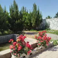 باغ،ویلا،استخر ابگرم.شاهنامه 36|اجارهٔ کوتاه‌مدت ویلا و باغ|مشهد, امیریه|دیوار