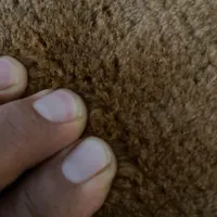 گبه دستباف پشم ورنگ اصیل|گلیم، جاجیم، گبه|تهران, ولنجک|دیوار