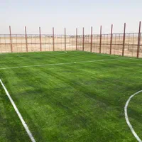 . ، چمنمصنوعی باشگاه ورزشی،