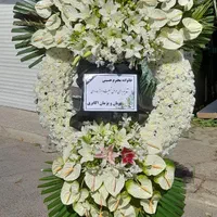 گلکده نرگس تاج گل|گل و گیاه طبیعی|تهران, بازار|دیوار