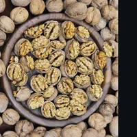 گردو و مغز گردو درصد بالا|عمده‌فروشی|اصفهان, ارغوانیه|دیوار