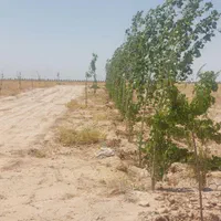 قطعات ۴۰۰متری داخل مجتمع کلاکوب|فروش زمین و ملک کلنگی|مشهد, گلبرگ شمالی|دیوار