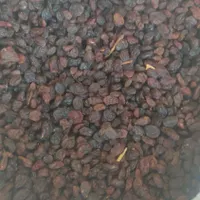 کشمش آبگیری|خوردنی و آشامیدنی|کرج, مهرویلا|دیوار