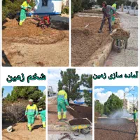 شرکت سبزگامان پارسی متخصص درزمینه باغبانی|خدمات باغبانی و درختکاری|شیراز, آزادگان|دیوار