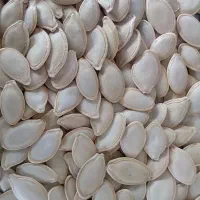 تخمه کدو  ( خام ) ۴۲۹/۰۰۰          درمان پروستات