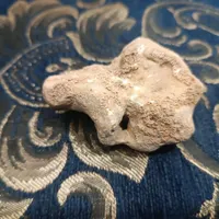 سنگ مرغ خدا
