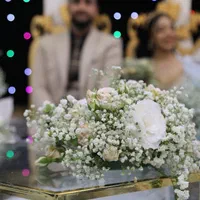 فیلمبرداری (فرمالیته، مراسم، آتلیه عروس)|خدمات پذیرایی، مراسم|ری, جوانمرد قصاب|دیوار