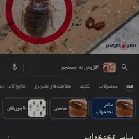 سمپاشی سم پاشی ساس سوسک نانو 100%تضمینی ککمورچه|خدمات نظافت|گرگان, |دیوار
