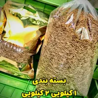 میلورم زنده و خشک/عمده/جزئی/سوپرورم/سبد و کود|خزنده|قم, باسکول|دیوار