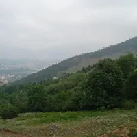 زمین بافت ویلایی منطقه اعیان نشین پلاک یک جنگل|فروش زمین و ملک کلنگی|کلاردشت, |دیوار