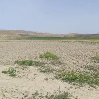 فروش ۱۵ هکتار زمین کشاورزی شهرستان کلات