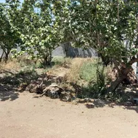 فروش باغ|فروش خانه و ویلا|اصفهان, وحید|دیوار