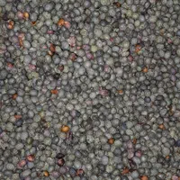 بنه کوهی و کسور کوهی(کلخونگ) عمده  فقط تماس|خوردنی و آشامیدنی|شیراز, باغ تخت|دیوار