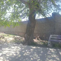 باغ و باغچه ویلایی|فروش دفتر صنعتی، کشاورزی، تجاری|مشهد, الهیه|دیوار