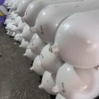 کپسول.مخزن.گاز سی ان جی.دوگانه سوز|قطعات یدکی و لوازم جانبی|تهران, شوش|دیوار