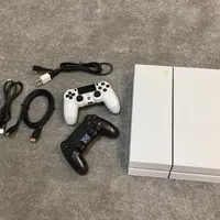 Ps4 FAT 500g