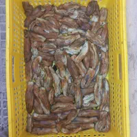 بادمجان سرخ وکبابی رژیمی|خوردنی و آشامیدنی|تهران, شهرک دریا|دیوار