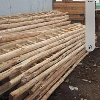 نردبان چوبی تخته بنایی|خدمات پیشه و مهارت|آبادان, |دیوار