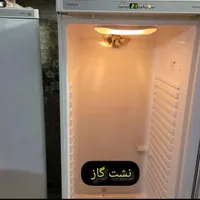 تعمیرات یخچال و فریزر های خانگی و صنعتی|خدمات پیشه و مهارت|اصفهان, عسگریه|دیوار
