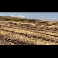 ۵ هکتار زمین آبی|فروش دفتر صنعتی، کشاورزی، تجاری|دهگلان, |دیوار