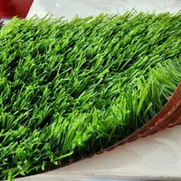 چمن مصنوعی|مصالح و تجهیزات ساختمان|دزفول, |دیوار