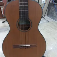 گیتار پیکاب دار