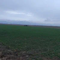 18000-متر-زمین-کشاورزی