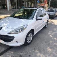207پاناروما ارتقا یافته403