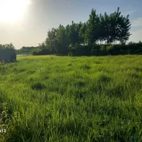 فروش زمین ۷۶۹ متری دلباز حتما مطالعه کن|فروش زمین و ملک کلنگی|لاهیجان, انقلاب|دیوار