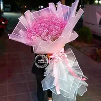 دسته گل ژیپسوفیلا یکمترونیمی سایز بزرگ|گل و گیاه طبیعی|تهران, فلاح|دیوار