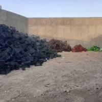 خریدار سبد میوه کارتون ضایعات با بالاترین قیمت|خدمات پیشه و مهارت|قم, قلعه صدری|دیوار