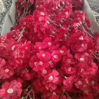 درختچه مصنوعی و شکوفه های خارجی قابل شستشو|گل مصنوعی|تهران, هاشم‌آباد|دیوار