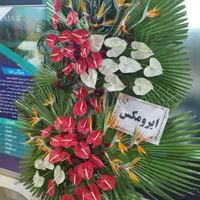 تاج گل سبدگل پایه گل ترحیم افتتاحیه گل آرایی|خدمات پذیرایی، مراسم|مشهد, وکیل‌آباد|دیوار