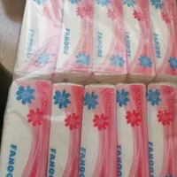 دستمال اقتصادی ورولی و کارتنی و شوینده جات|مواد شوینده و دستمال کاغذی|قم, سید معصوم|دیوار