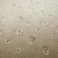 موکت تمیز